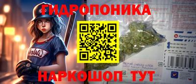 гидропоника Будённовск