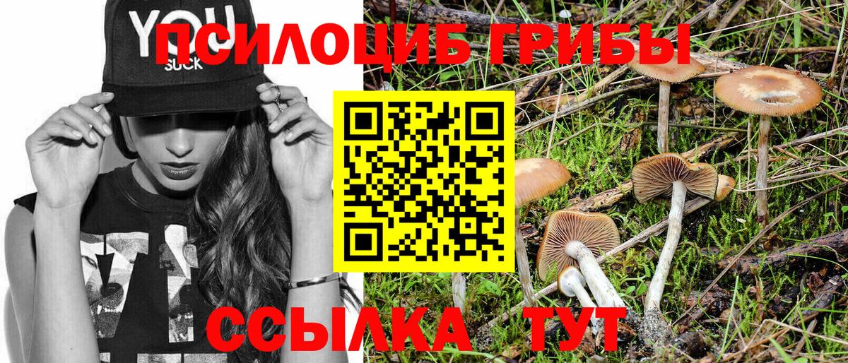 Галлюциногенные грибы Cubensis Приморско-Ахтарск