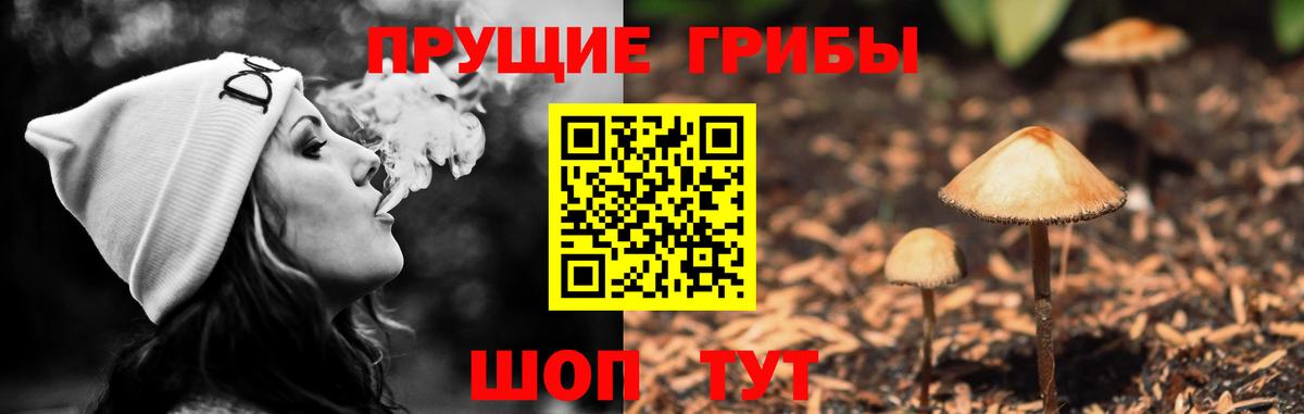 Галлюциногенные грибы Cubensis  Вход с VPN  Приморско-Ахтарск  Псилоцибиновые грибы GOLDEN TEACHER 
